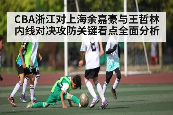 CBA浙江对上海余嘉豪与王哲林内线对决攻防关键看点全面分析（kaiyun）